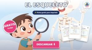 Cuadernillo del Esqueleto y los Huesos para Niños: Ciencias PDF Gratis para Imprimir