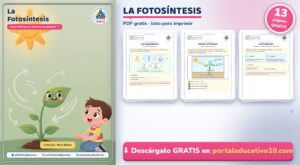 La Fotosíntesis para Niños: Cuadernillo de Ciencias PDF Gratis para Imprimir