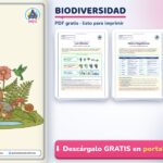 Biodiversidad para Niños: Qué Es, Tipos y Ejemplos