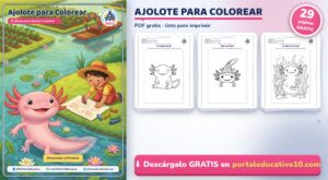 Ajolote para Colorear: 25 Dibujos del Axolote Mexicano (PDF Gratis)