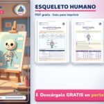 Esqueleto Humano para Niños: Huesos, Partes y Actividades