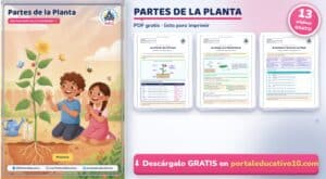 Partes de la Planta para Niños: Funciones y Actividades PDF